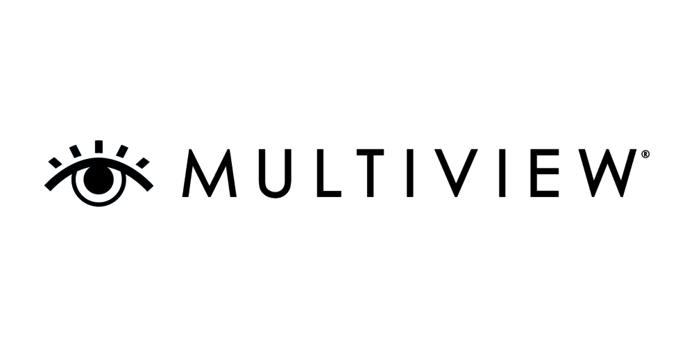 Multiview Inc (MULTIVIEW)